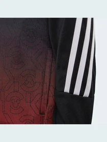 Худи и свитшоты Adidas x Disney модель HA6575 Фото