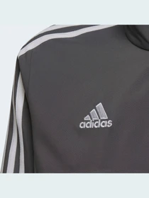 Худи и свитшоты Adidas Condivo модель HD4727 Фото