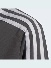 Худи и свитшоты Adidas Condivo модель HD4727 Фото