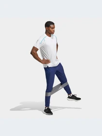 Брюки Adidas модель IB9040 Фото