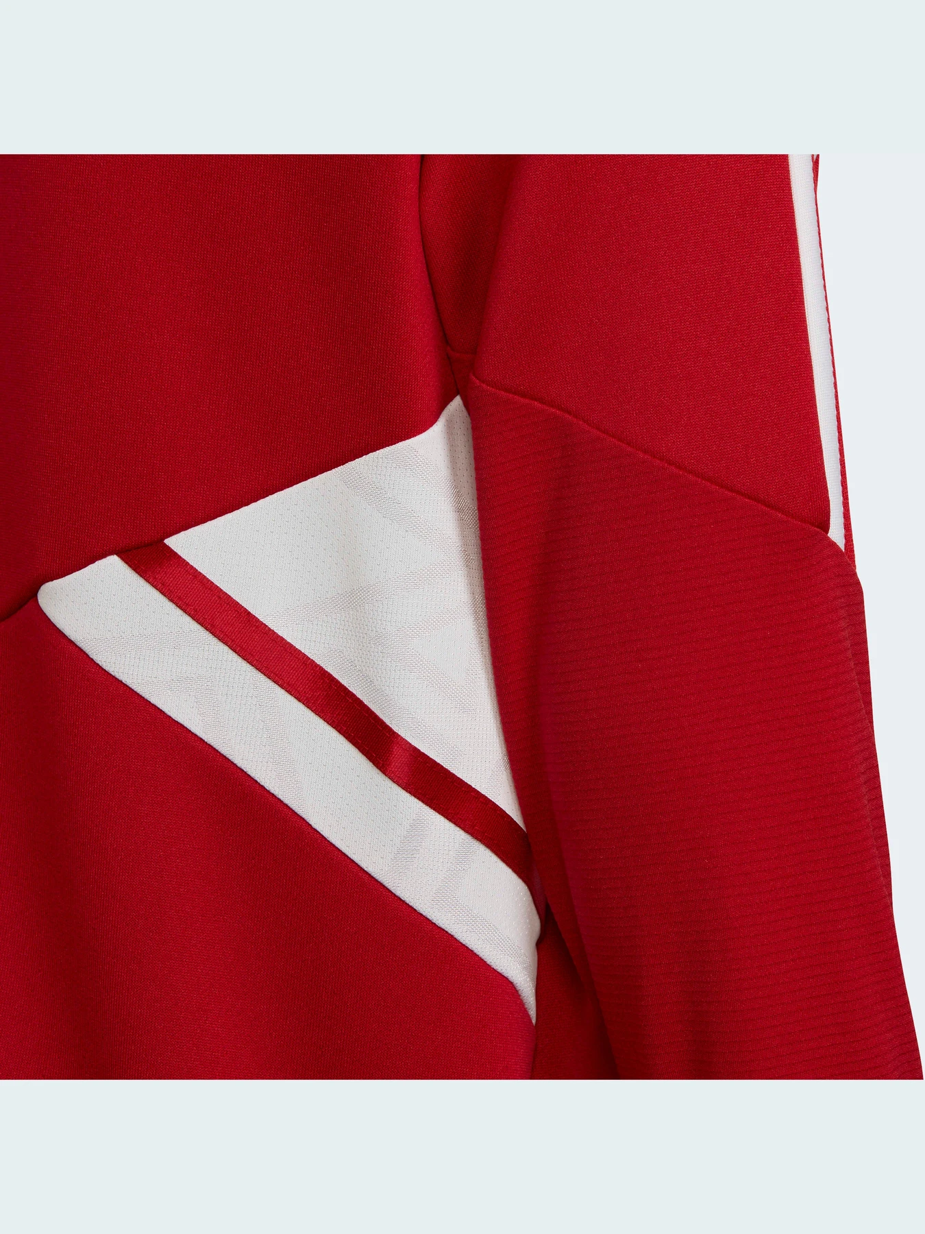 Худи и свитшоты Adidas Condivo модель HA6262 Худи и свитшоты Adidas Condivo модель HA6262 Фото