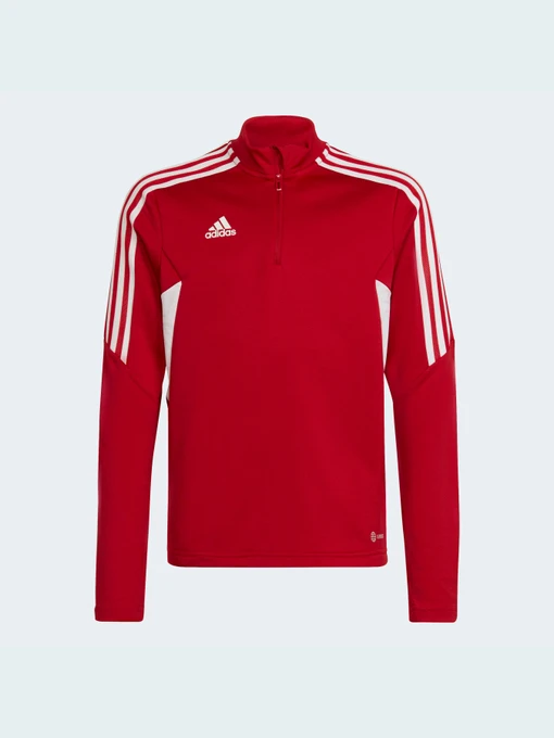 Худі та світшоти Adidas Condivo модель HA6262 Фото
