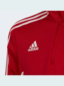 Худи и свитшоты Adidas Condivo модель HA6262 Фото