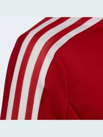 Худи и свитшоты Adidas Condivo модель HA6262 Фото