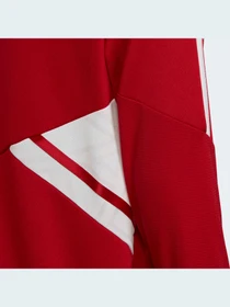 Худи и свитшоты Adidas Condivo модель HA6262 Фото