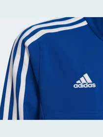 Худі та світшоти Adidas Condivo модель HA6236 Фото