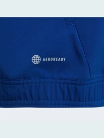 Худі та світшоти Adidas Condivo модель HA6236 Фото