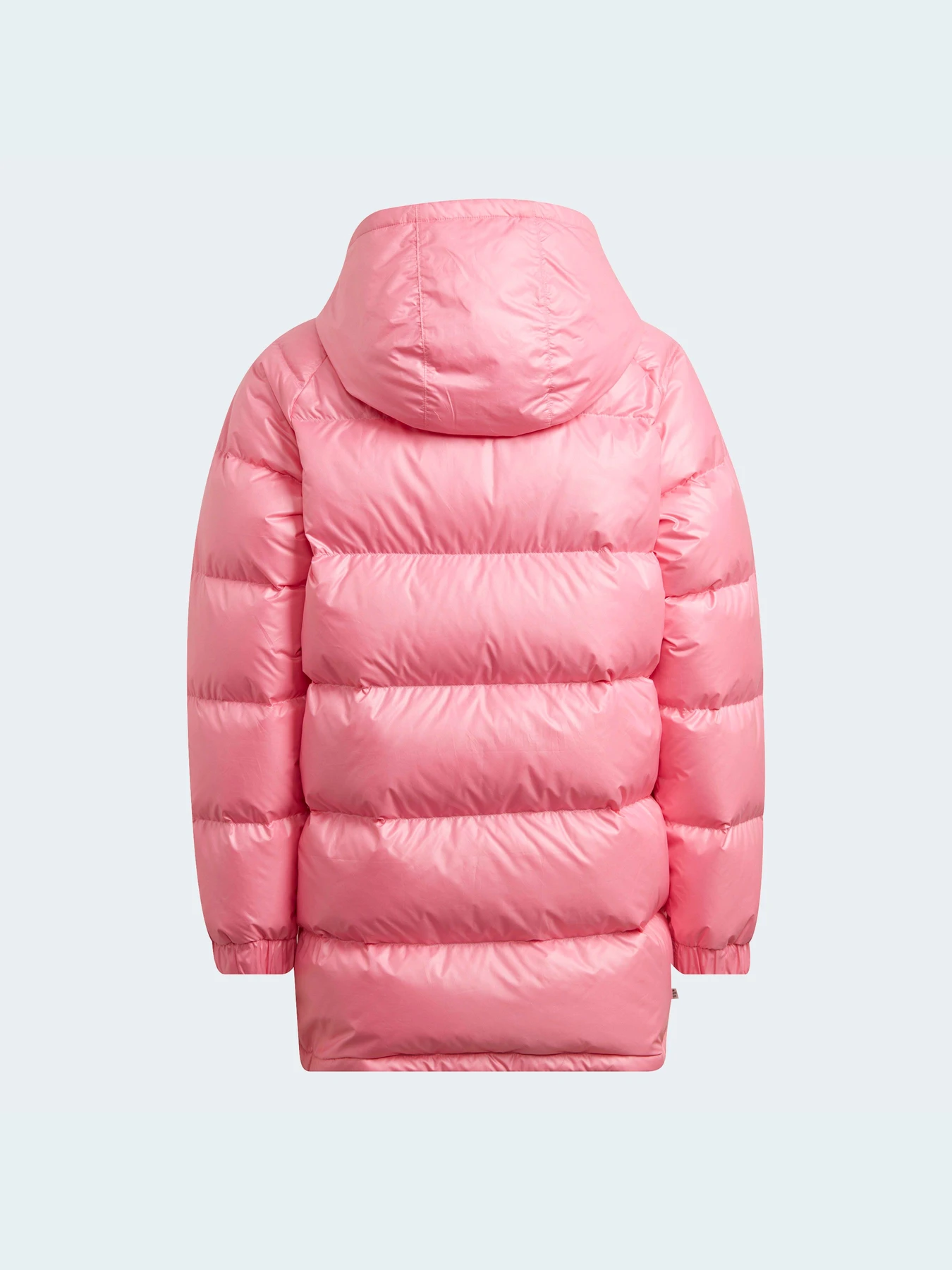 Куртки и дубленки Adidas модель HK0389 Фото