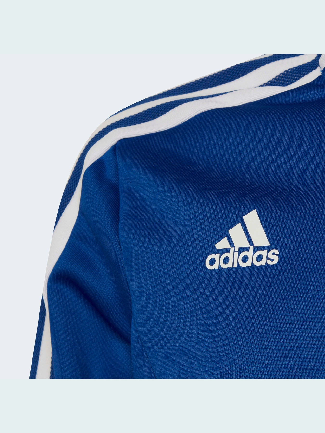 Худи и свитшоты Adidas Condivo модель HA6274 Фото