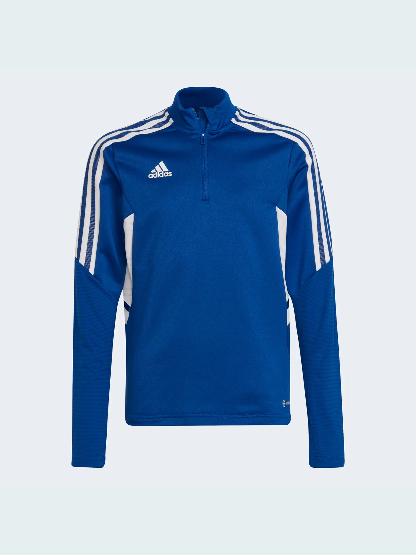 Худи и свитшоты Adidas Condivo модель HA6274 Фото