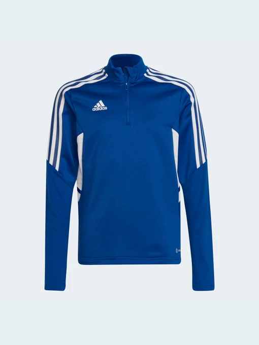 Худи и свитшоты Adidas Condivo модель HA6274 Фото