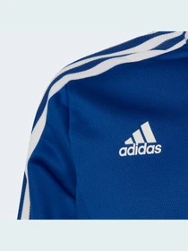 Худи и свитшоты Adidas Condivo модель HA6274 Фото