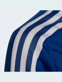 Худи и свитшоты Adidas Condivo модель HA6274 Фото