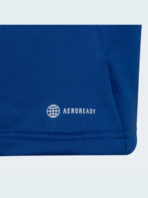 Худи и свитшоты Adidas Condivo модель HA6274 Фото