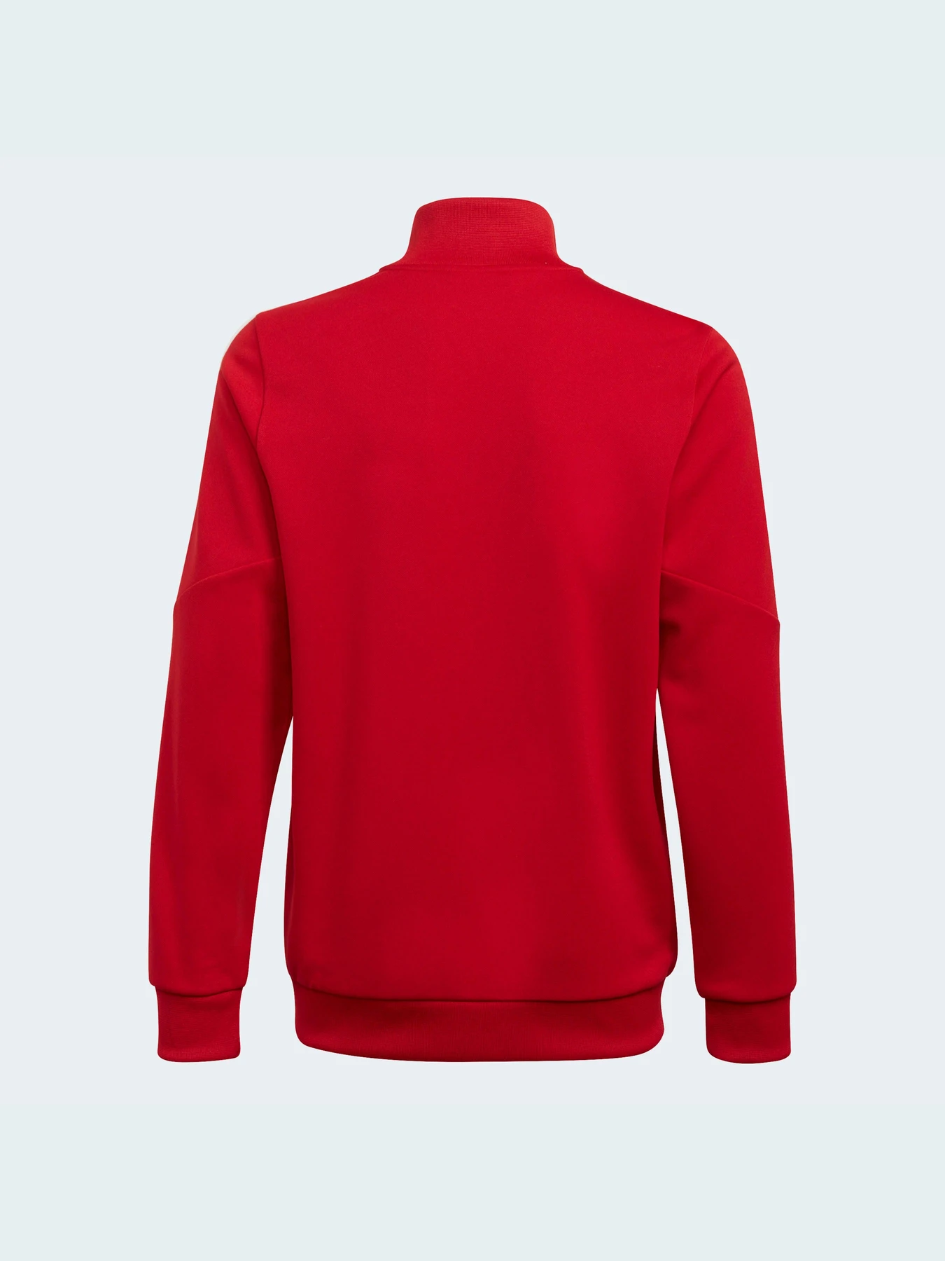 Куртки и дубленки Adidas Condivo модель HA6256 Фото