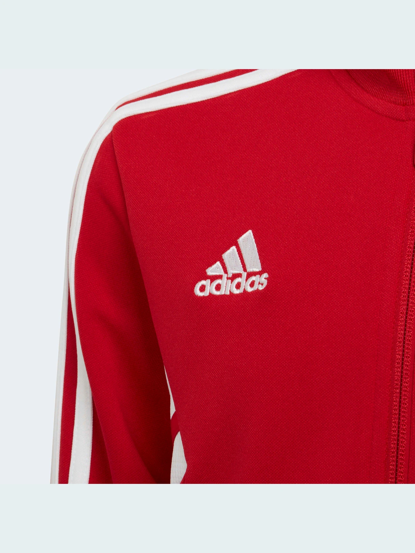 Куртки и дубленки Adidas Condivo модель HA6256 Фото