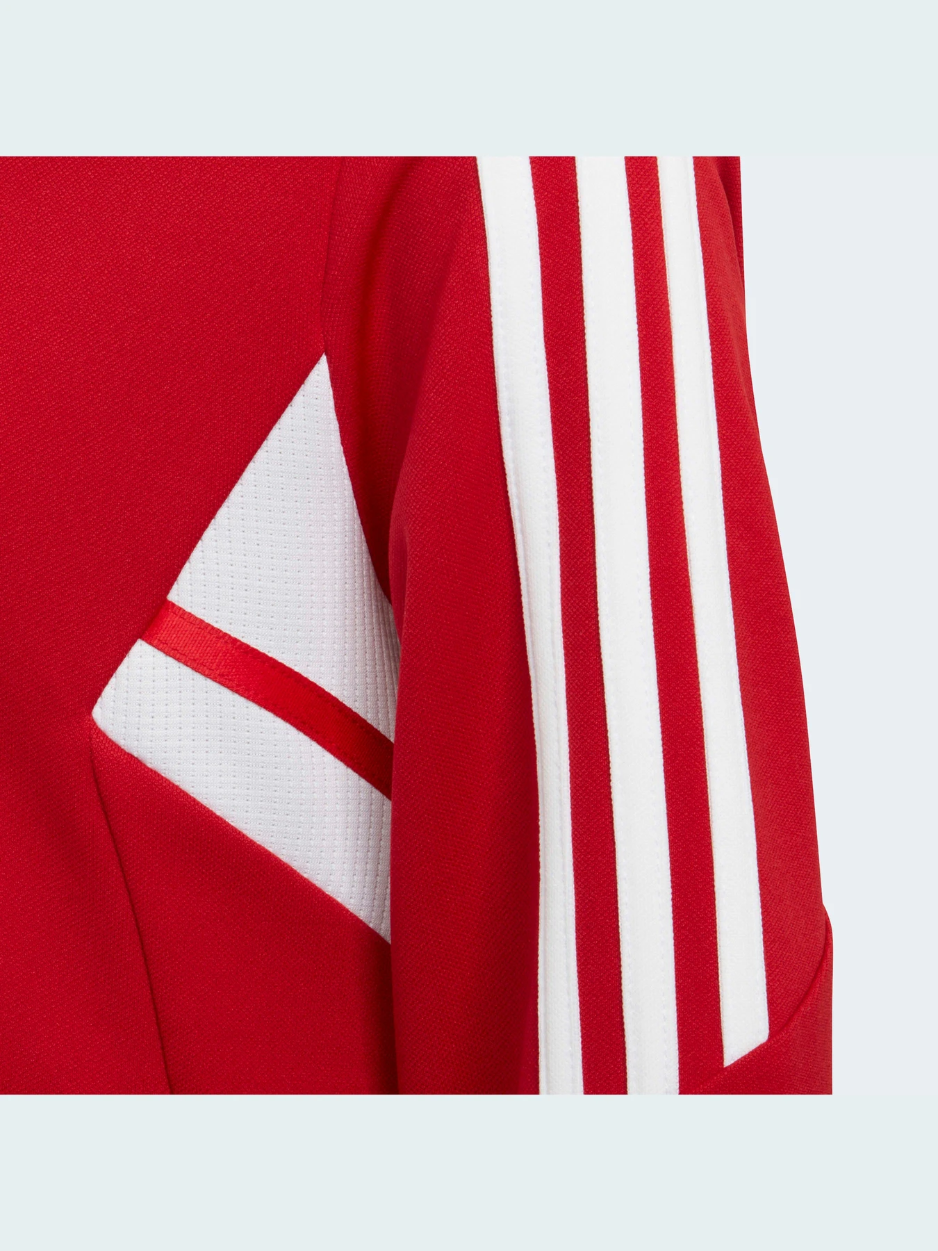 Куртки и дубленки Adidas Condivo модель HA6256 Фото
