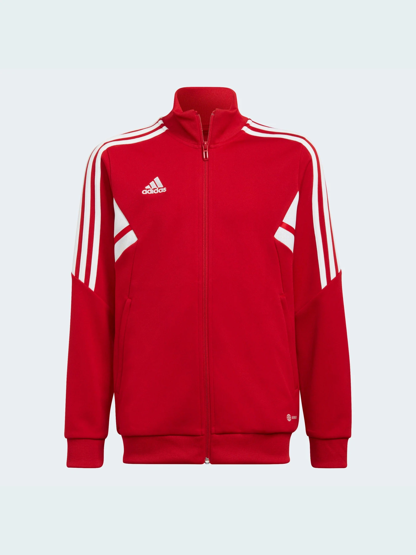 Куртки и дубленки Adidas Condivo модель HA6256 Фото