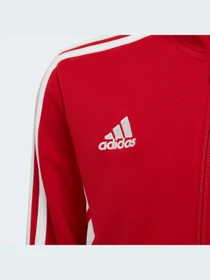 Куртки и дубленки Adidas Condivo модель HA6256 Фото