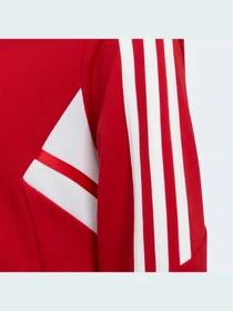 Куртки и дубленки Adidas Condivo модель HA6256 Фото