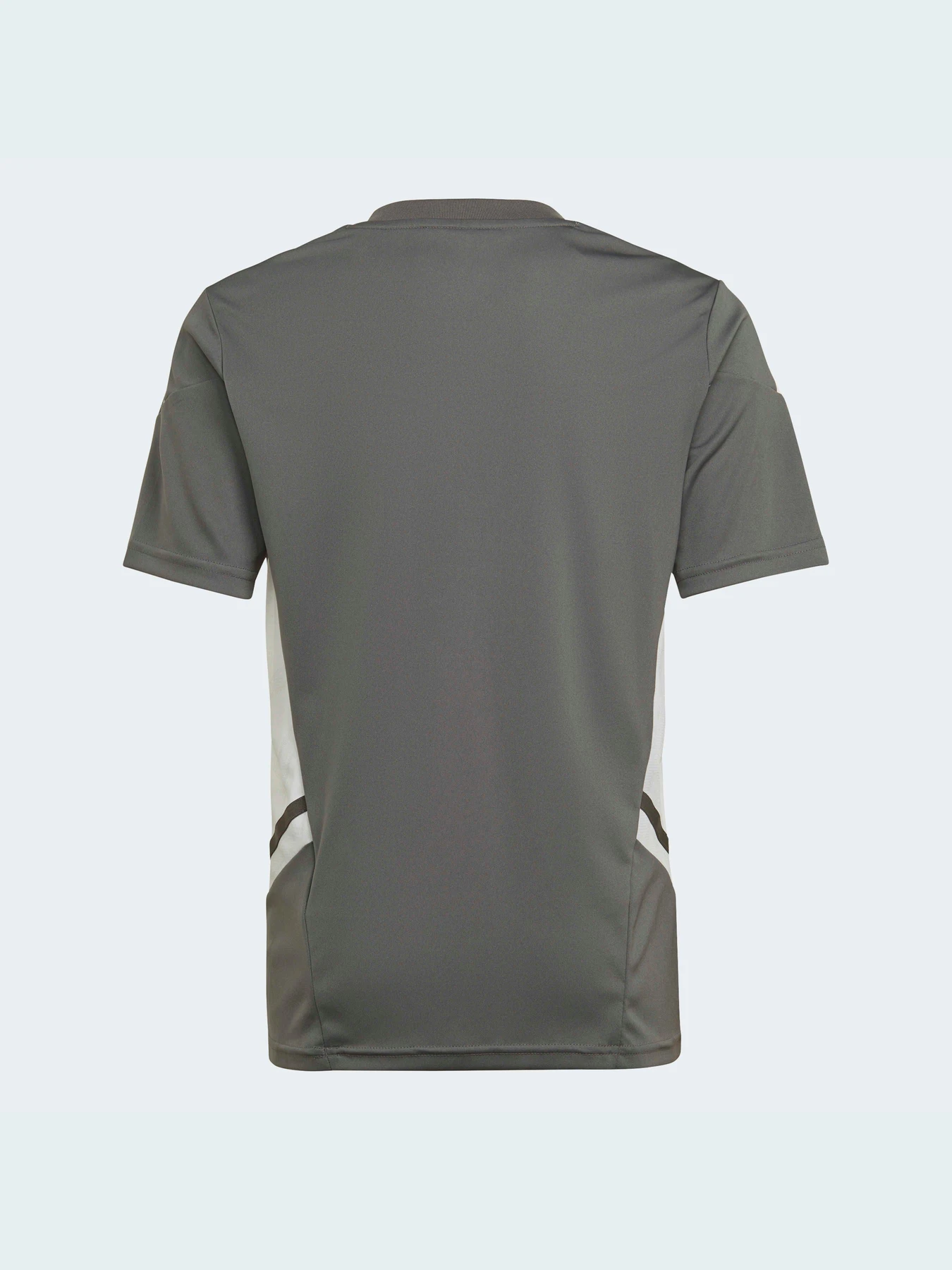 Футболки и поло Adidas Condivo модель HD2319 Футболки и поло Adidas Condivo модель HD2319 Фото