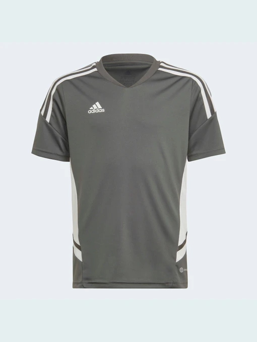Футболки и поло Adidas Condivo модель HD2319 Фото