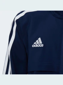 Худи и свитшоты Adidas Condivo модель H21286 Фото