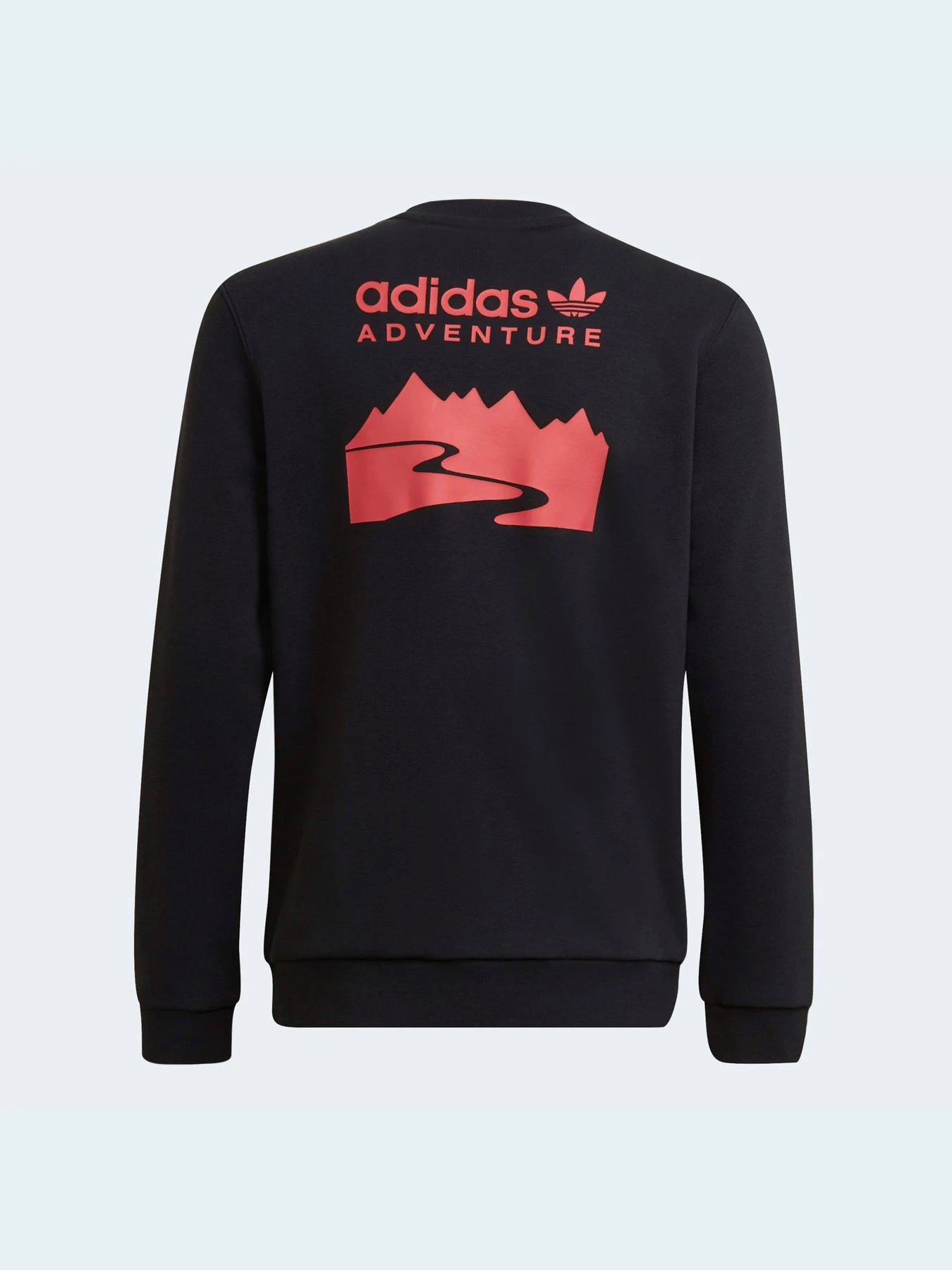 Худи и свитшоты Adidas Adventure модель HE2062 Фото