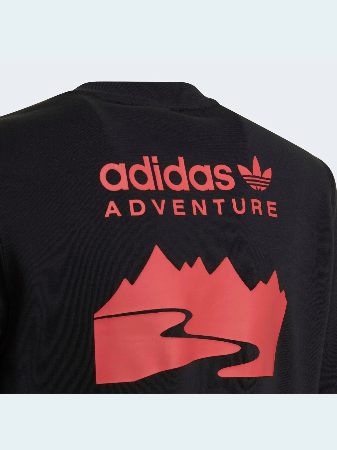 Худи и свитшоты Adidas Adventure модель HE2062 Фото