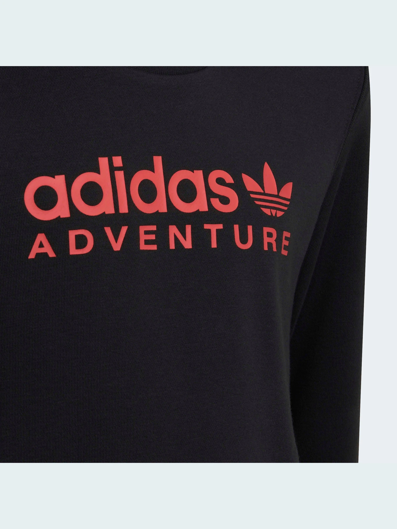 Худи и свитшоты Adidas Adventure модель HE2062 Фото