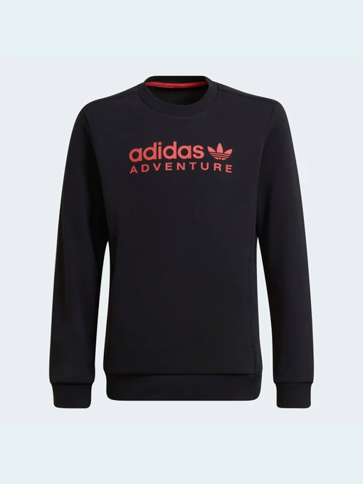 Худи и свитшоты Adidas Adventure модель HE2062 Фото