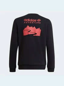 Худи и свитшоты Adidas Adventure модель HE2062 Фото