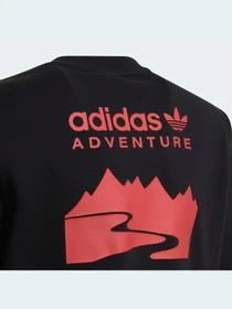 Худи и свитшоты Adidas Adventure модель HE2062 Фото