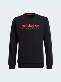Худи и свитшоты Adidas Adventure модель HE2062 Фото