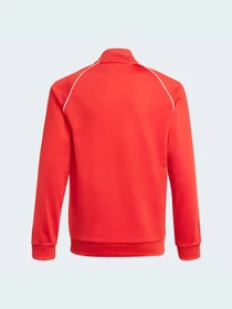 Худи и свитшоты Adidas модель GN8449 Фото