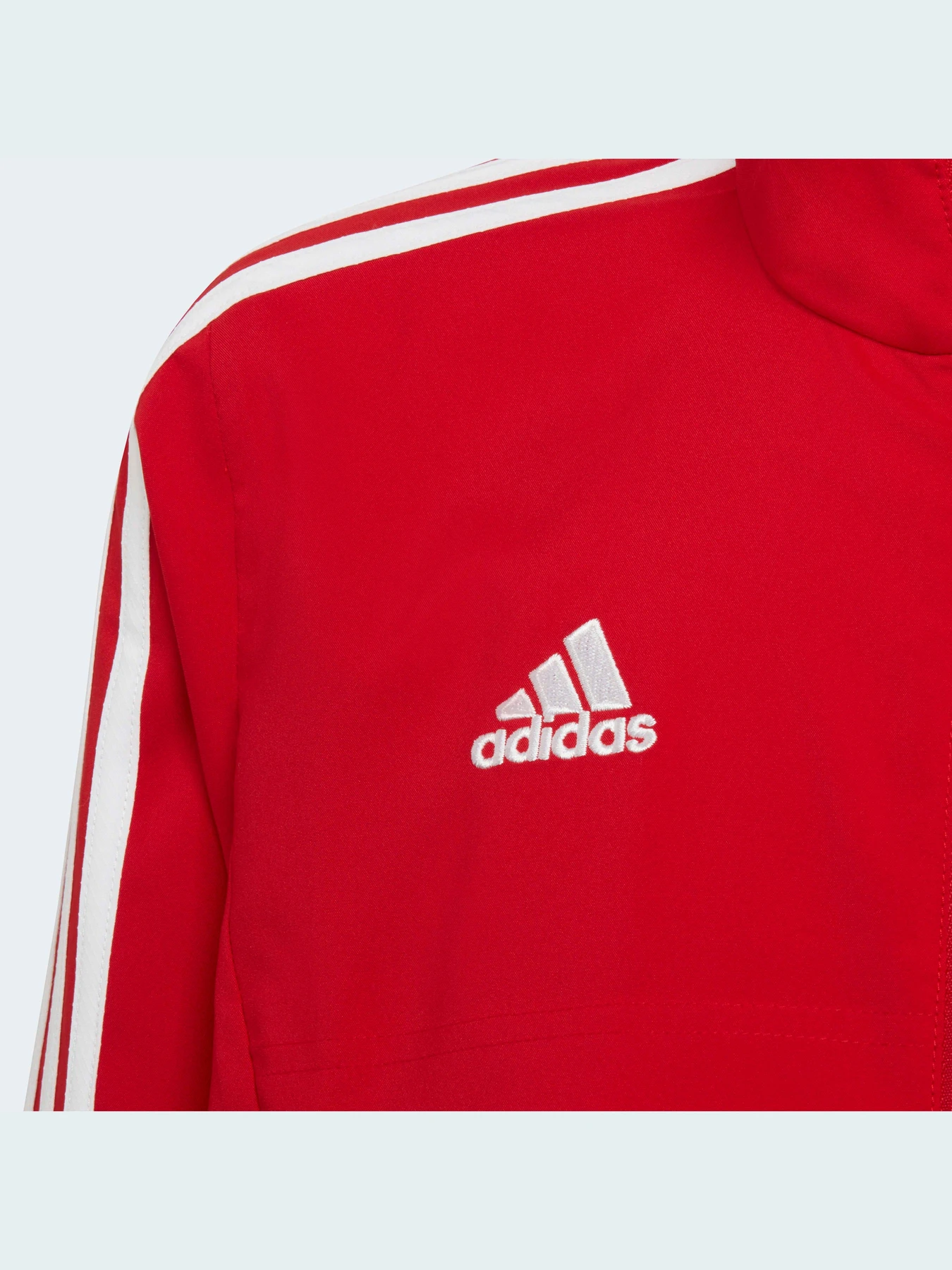 Худи и свитшоты Adidas Condivo модель HA6235 Фото