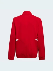 Худи и свитшоты Adidas Condivo модель HA6235 Фото