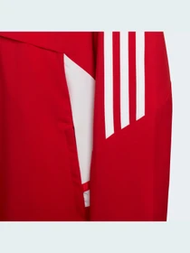 Худи и свитшоты Adidas Condivo модель HA6235 Фото