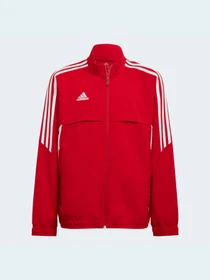 Худи и свитшоты Adidas Condivo модель HA6235 Фото