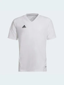 Футболки и поло Adidas Condivo модель HD4718 Фото