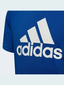 Футболки и поло Adidas Clima модель HE9329 Фото