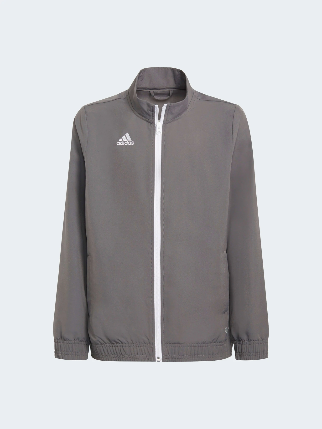Худи и свитшоты Adidas модель H57539 Фото