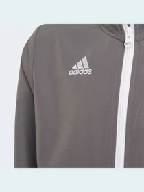 Худи и свитшоты Adidas модель H57539 Фото