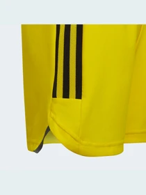 Шорты Adidas Condivo модель HA3568 Фото