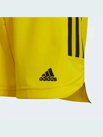 Шорты Adidas Condivo модель HA3568 Фото