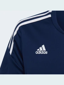 Футболки и поло Adidas Condivo модель H21257 Фото