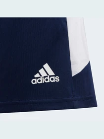 Шорты Adidas Condivo модель H23703 Фото