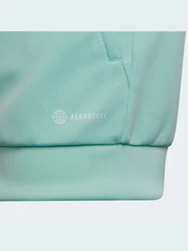 Куртки и дубленки Adidas Condivo модель HD2282 Фото