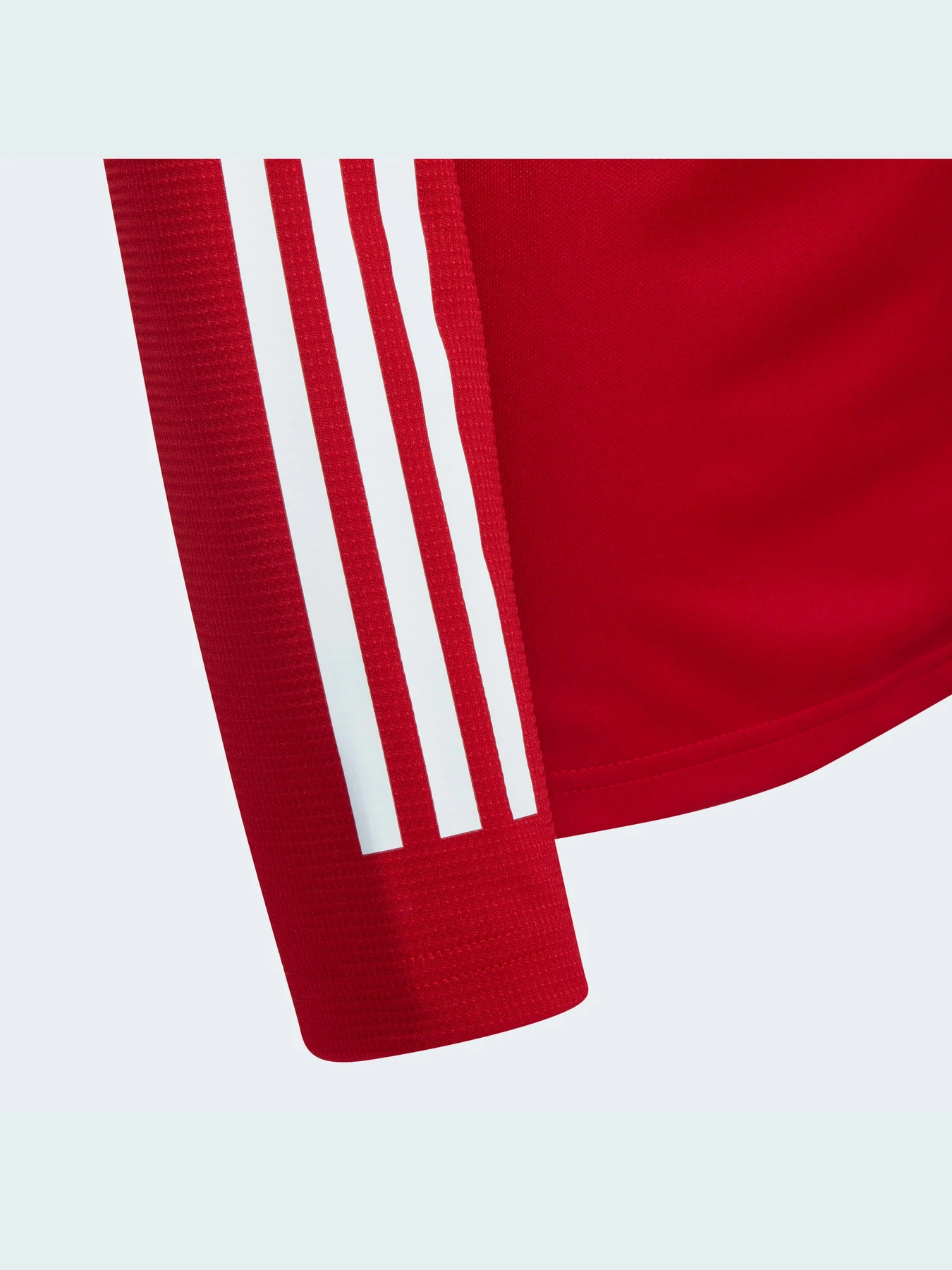 Худи и свитшоты Adidas Condivo модель FS7098 Фото