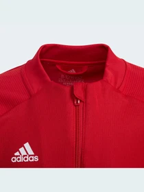 Худи и свитшоты Adidas Condivo модель FS7098 Фото